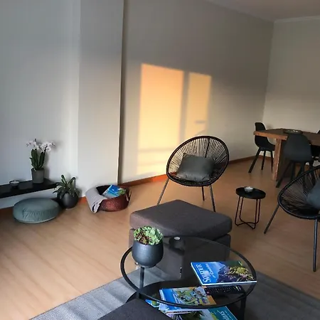 Vistas Infinitas